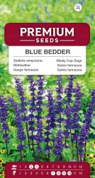 Salvia Blue Bedder Seeds